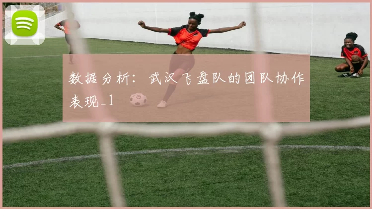 数据分析：武汉飞盘队的团队协作表现_1