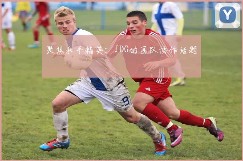 聚焦和平精英：JDG的团队协作话题