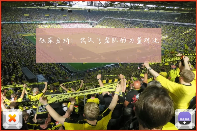 独家分析：武汉飞盘队的力量对比
