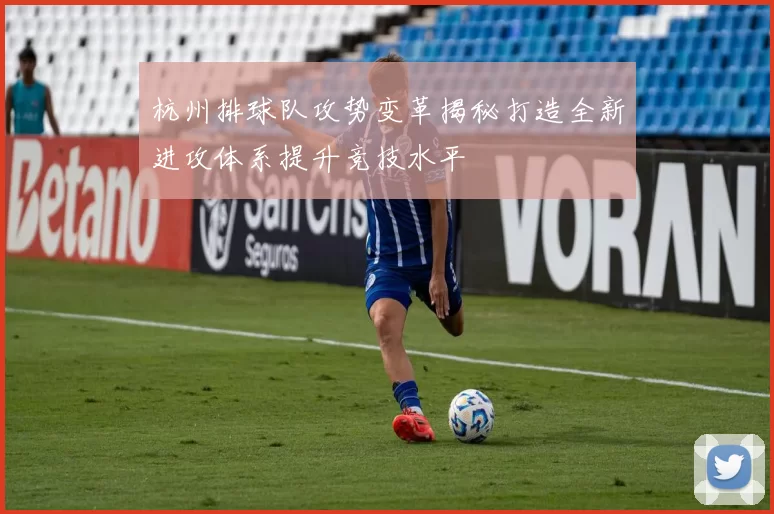 杭州排球队攻势变革揭秘打造全新进攻体系提升竞技水平