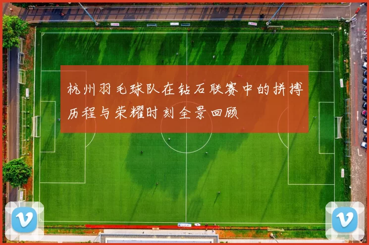 杭州羽毛球队在钻石联赛中的拼搏历程与荣耀时刻全景回顾