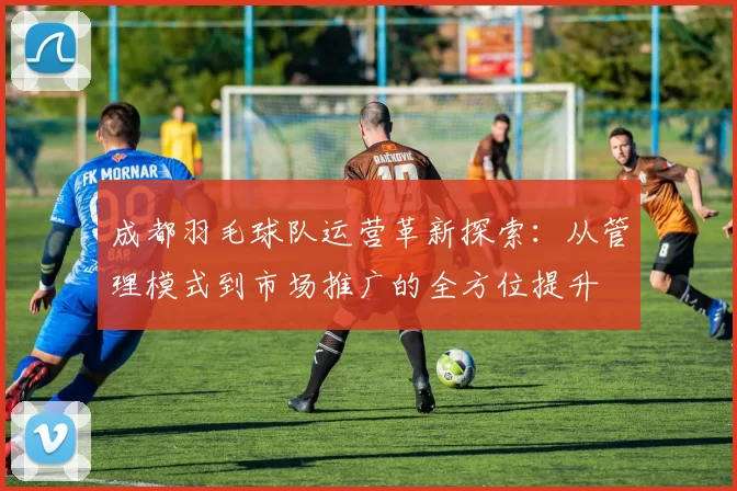 成都羽毛球队运营革新探索：从管理模式到市场推广的全方位提升