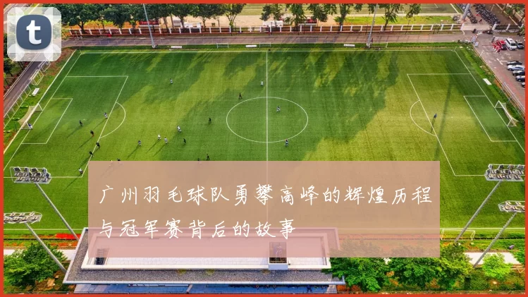 广州羽毛球队勇攀高峰的辉煌历程与冠军赛背后的故事